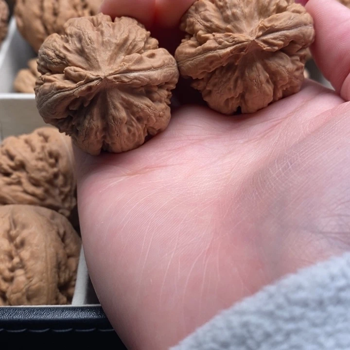 独***侠霸王龙全品无修一刀没动