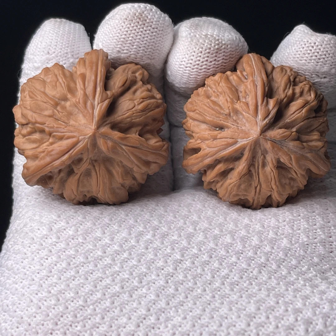 文山三棱粗筋尺寸40全品红皮（编号A 316）