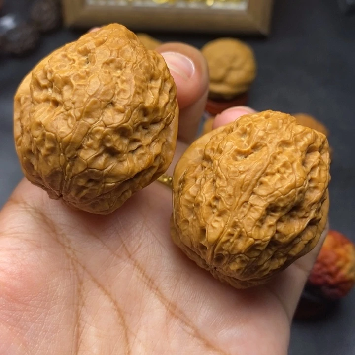 把件文玩核桃40尺金蟾王