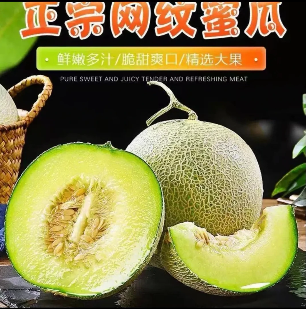 山东网纹瓜玫珑哈蜜瓜新鲜水果3-9斤正宗甘甜爽口当季水果绿宝石