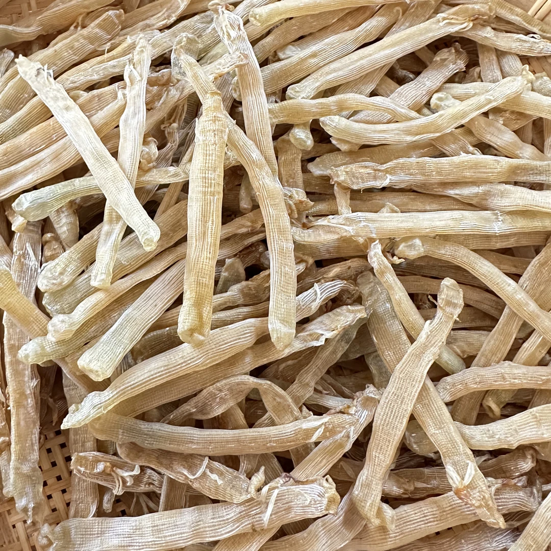 湛江本地大黄沙虫250g/500g