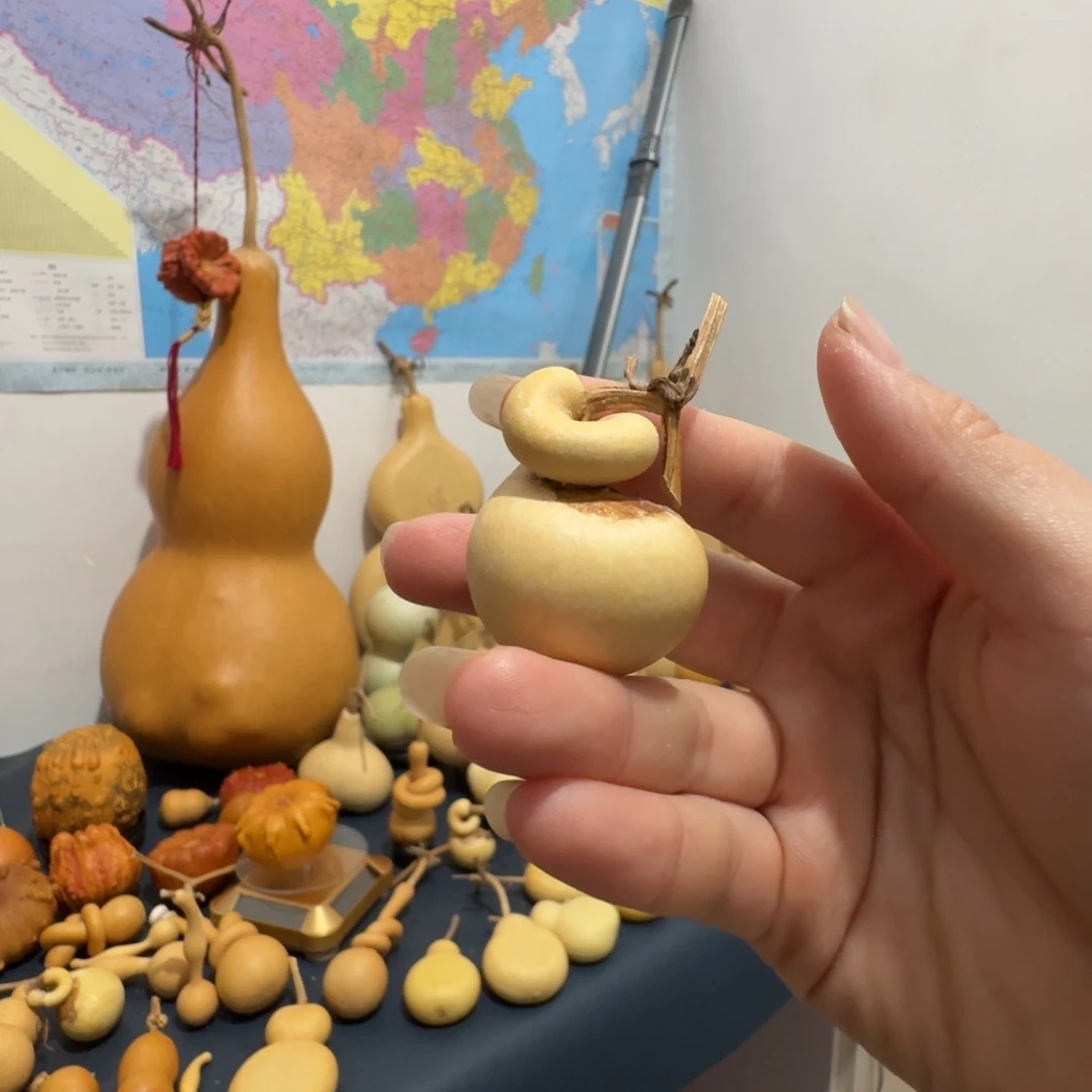 雨***️滑稽剧团斯科拉里好了