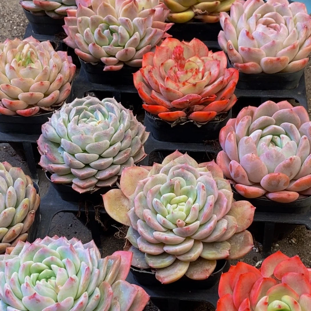 304的人在一起的时候