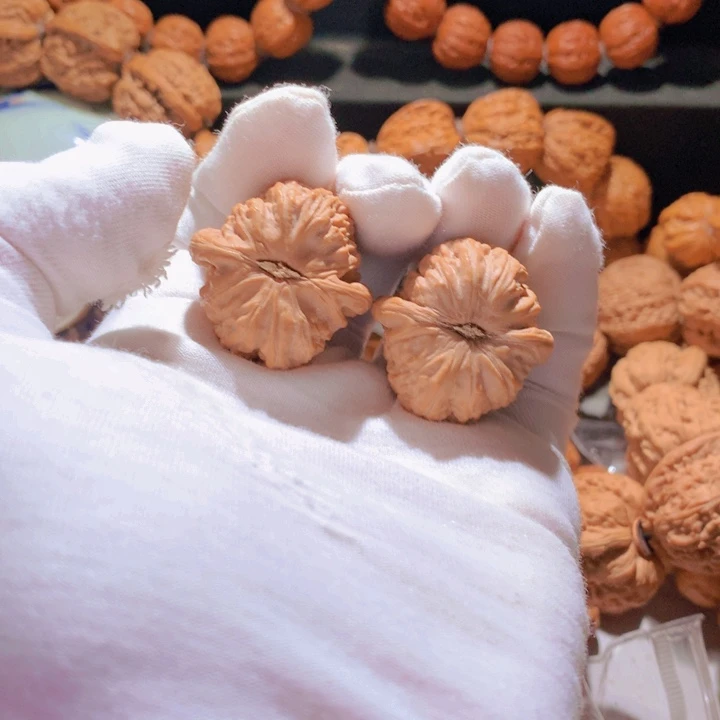 大***舒文玩核桃把件白狮子