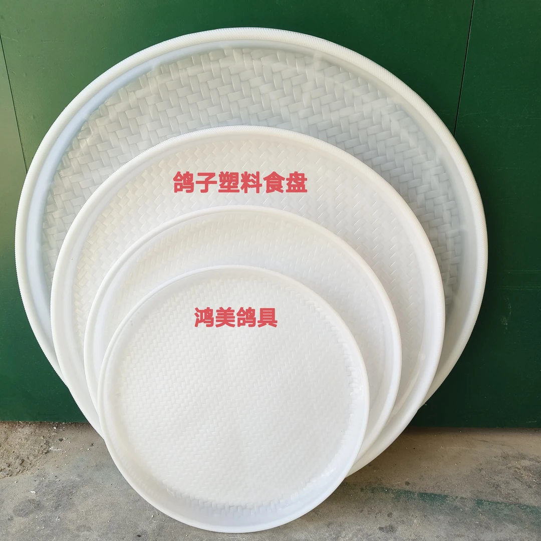 鸽子白色塑料圆形鸽子食盘实用耐用