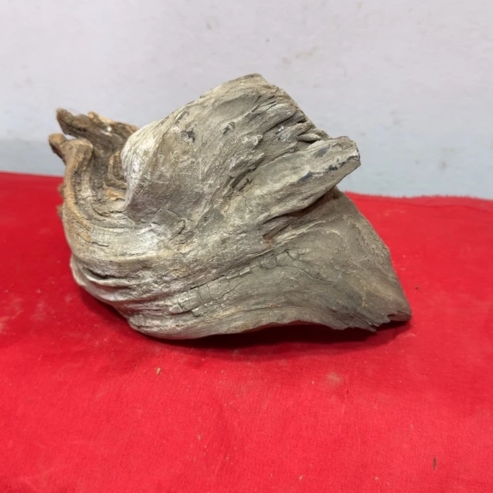 香榧木三*工艺品摆件精选