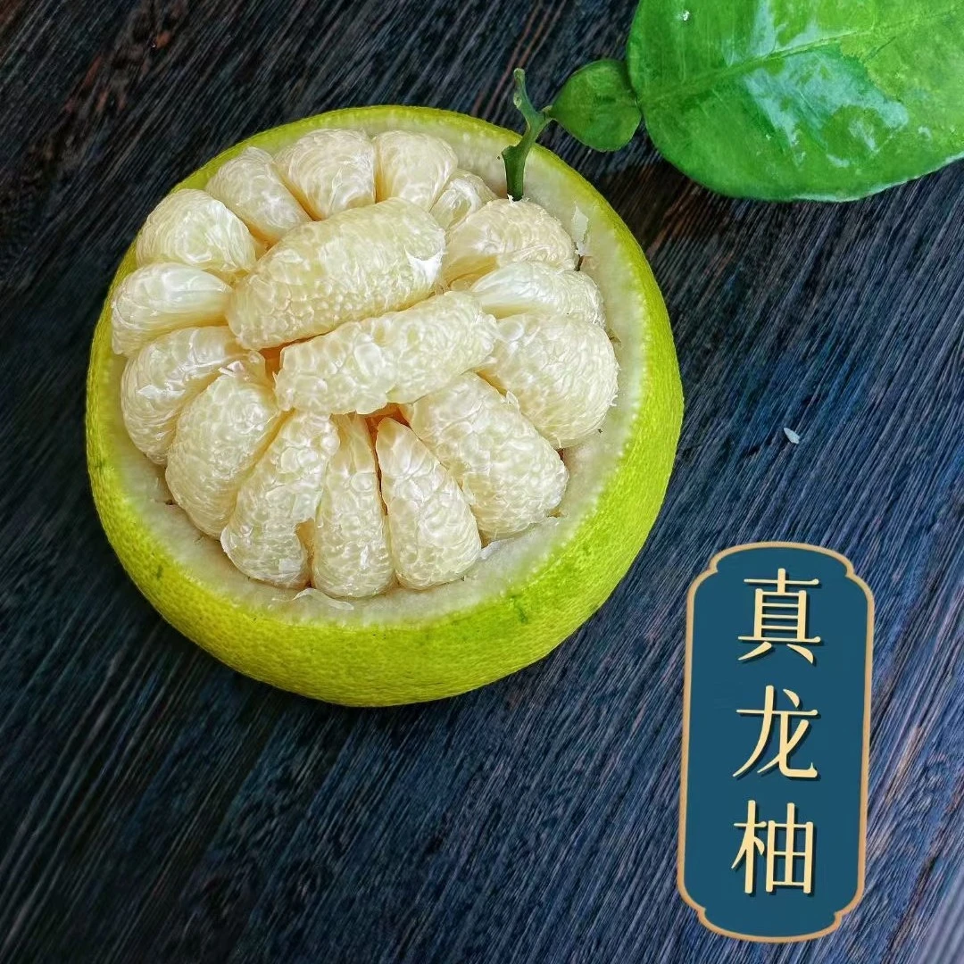 【只有一个·至尊果】真龙柚柚子水果新鲜现采现称多汁当季纯甜爆汁