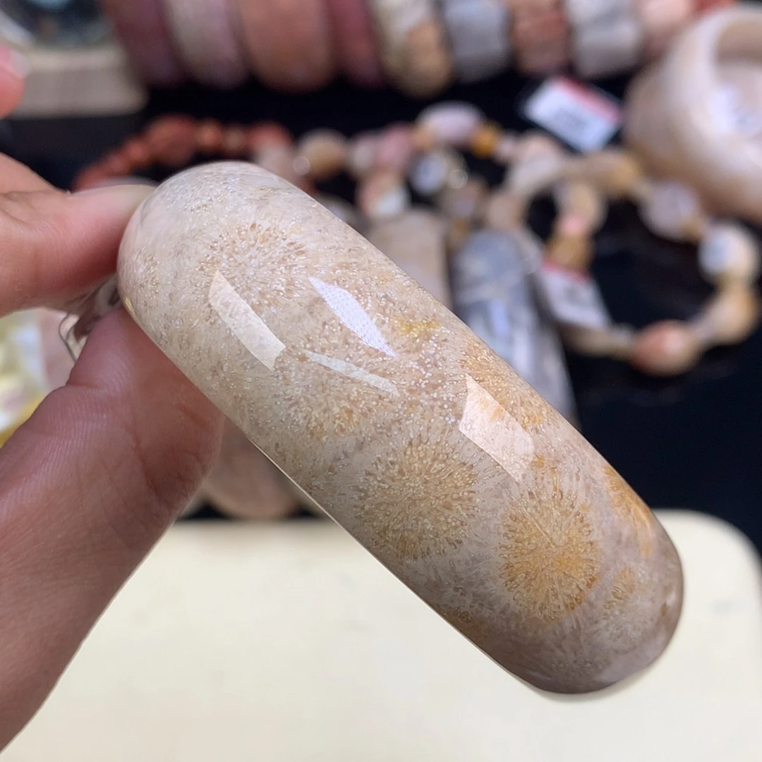 【闪购商品】颈饰未镶嵌硅化珊瑚（珊瑚玉）54号大花57圈