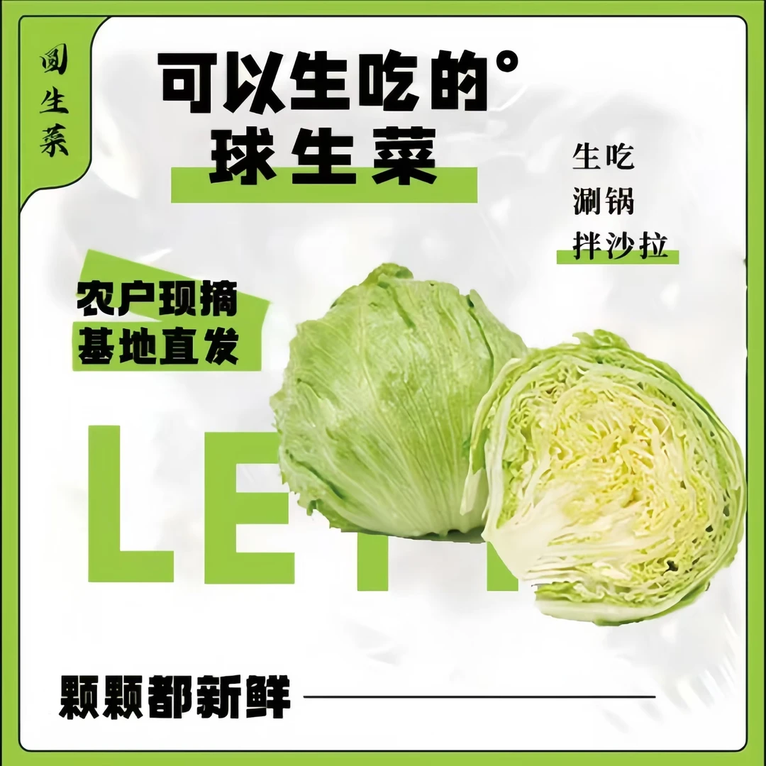 【顺丰速运】生菜球圆生菜沙拉菜轻食汉堡烤肉用西生菜农场直发