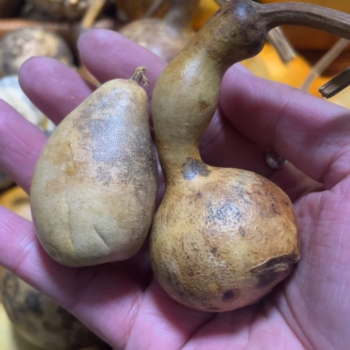 新年快乐万事大吉