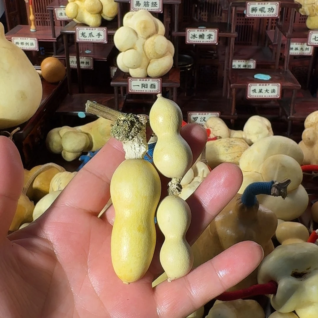 雷***葫芦厚皮可爱好玩