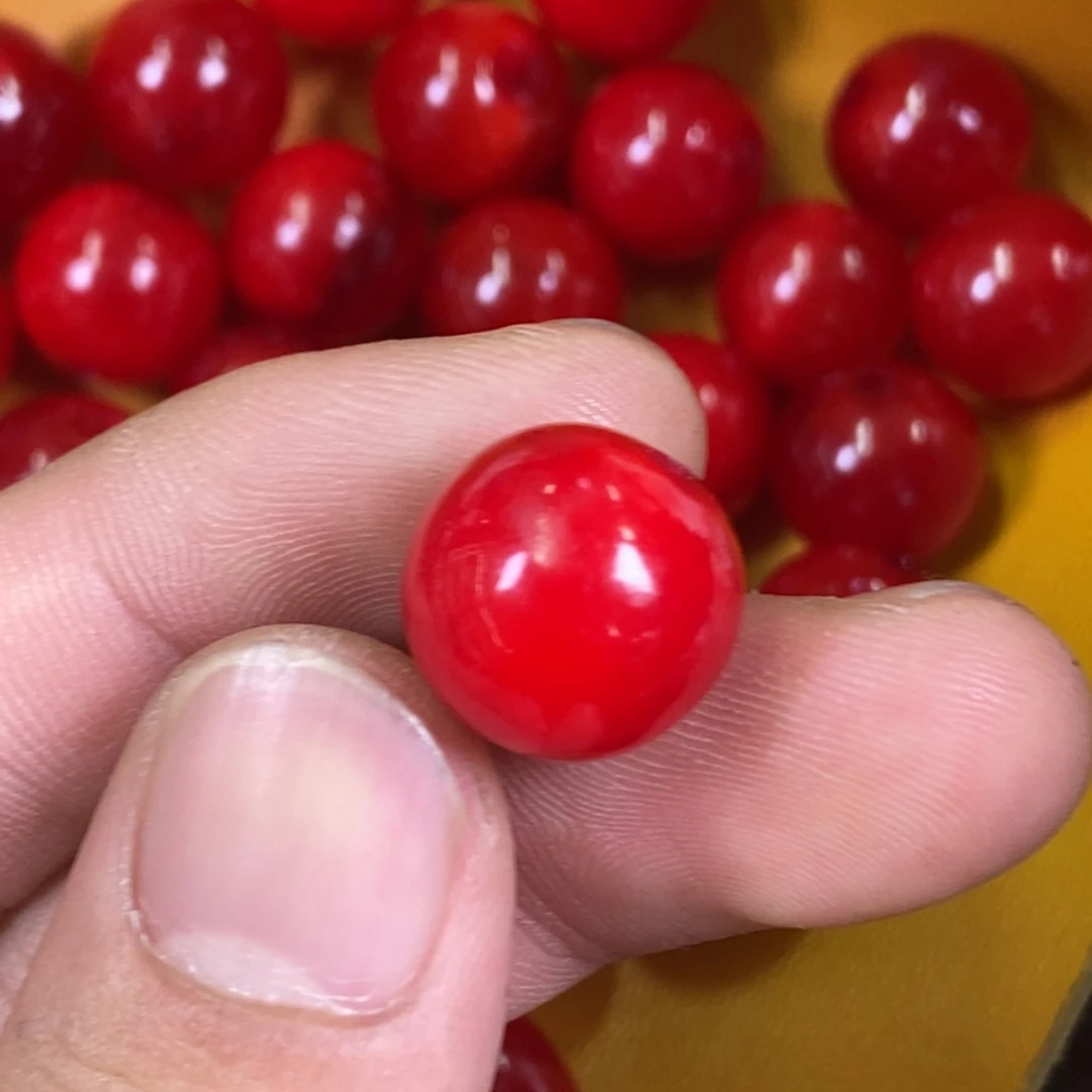 手串/手链驼骨1.4尺寸,32