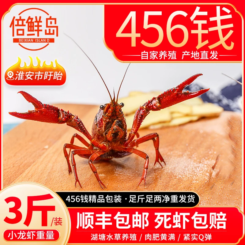 【3斤装】江苏盱眙兴化鲜活小龙虾清水养殖鲜活小龙虾（1斤23个左右）