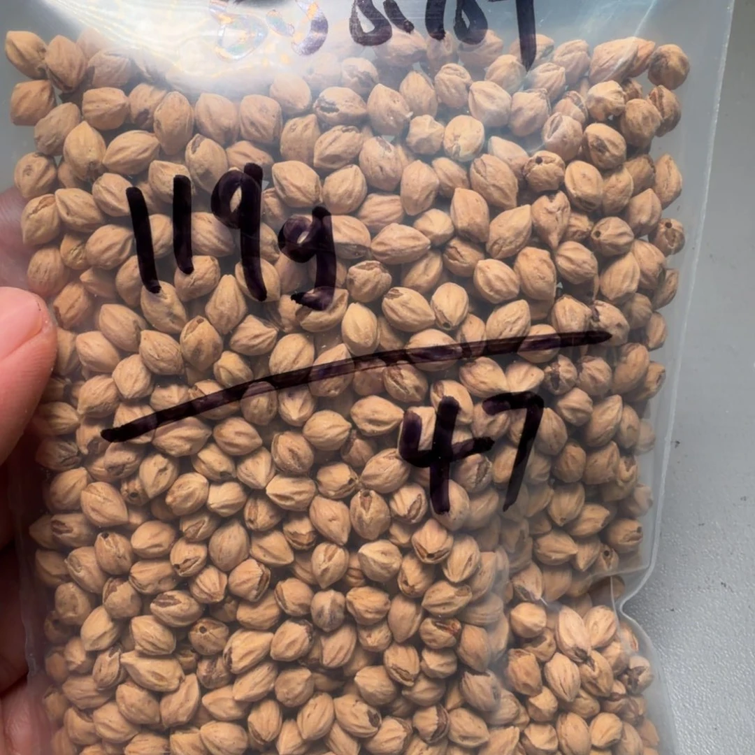 吊坠柏香籽/百香籽?*沫