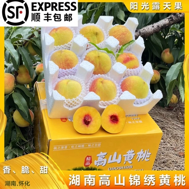 高山黄桃脆黄桃正宗湖南锦绣黄桃红心新鲜水果现摘现发【顺丰包邮】