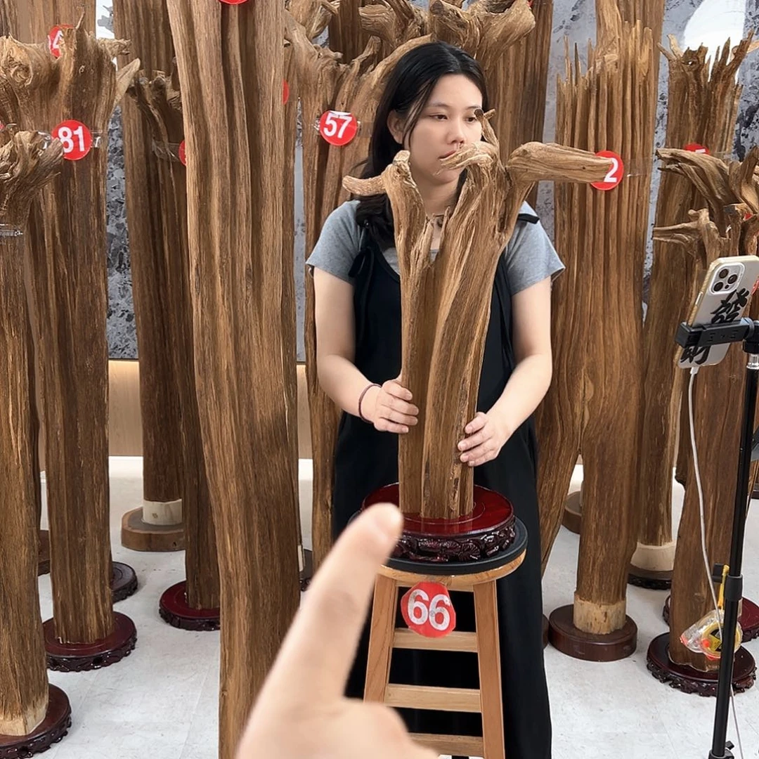 沉香沉香碎屑天然沉香