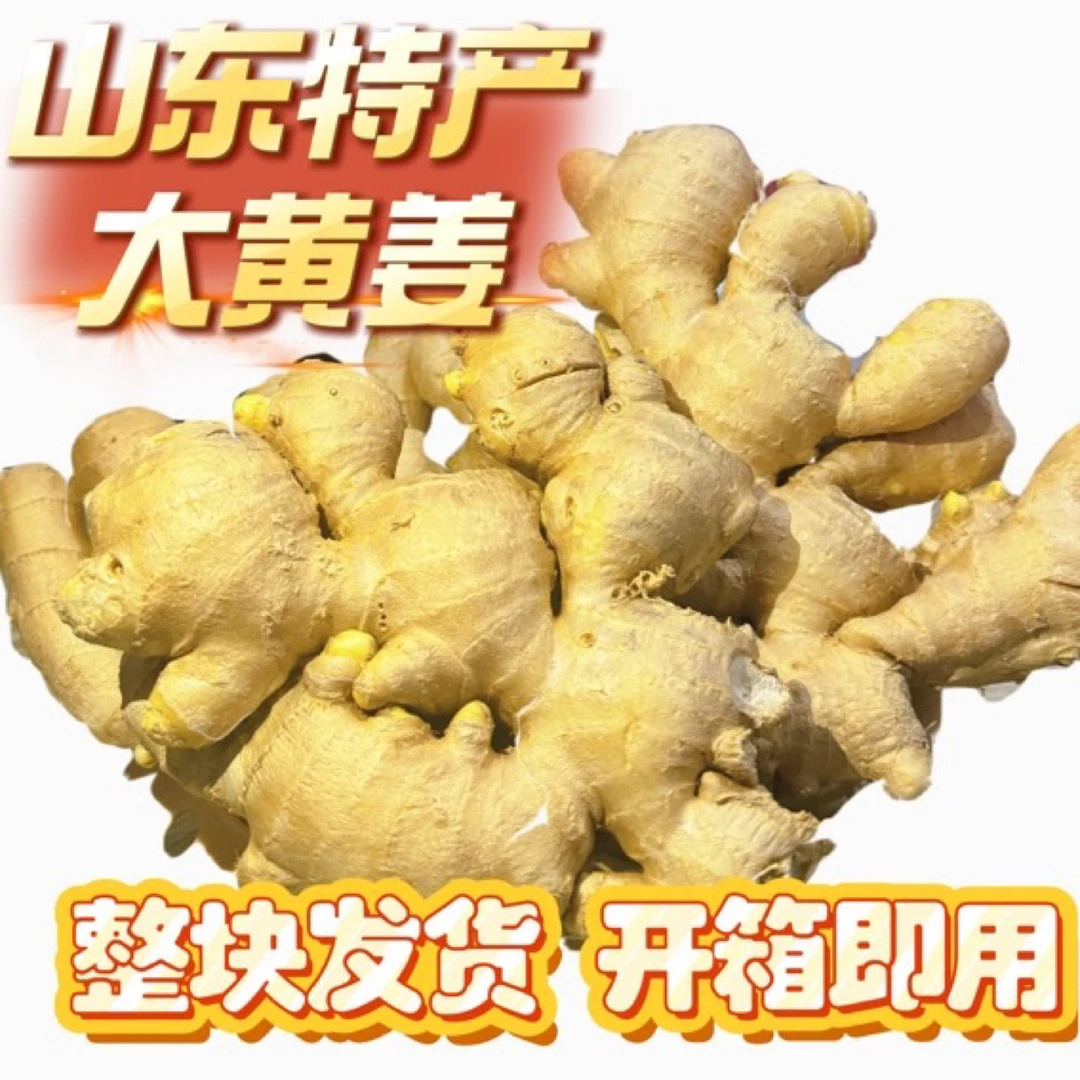 【窖藏大黄姜】山东大黄姜老姜整块带底座姜味浓郁产地直发