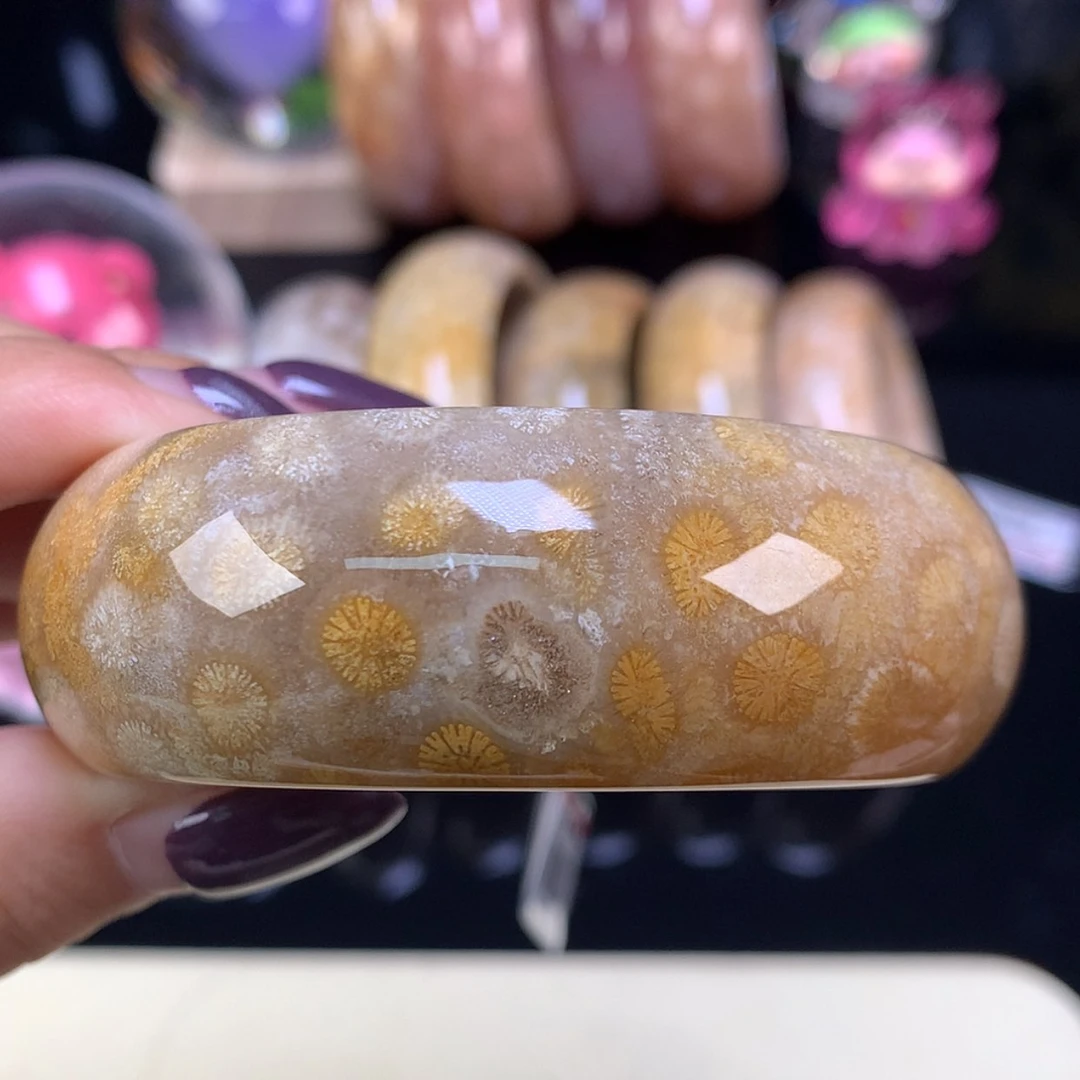 【闪购商品】颈饰未镶嵌硅化珊瑚（珊瑚玉）福利手镯54.5口（47号）