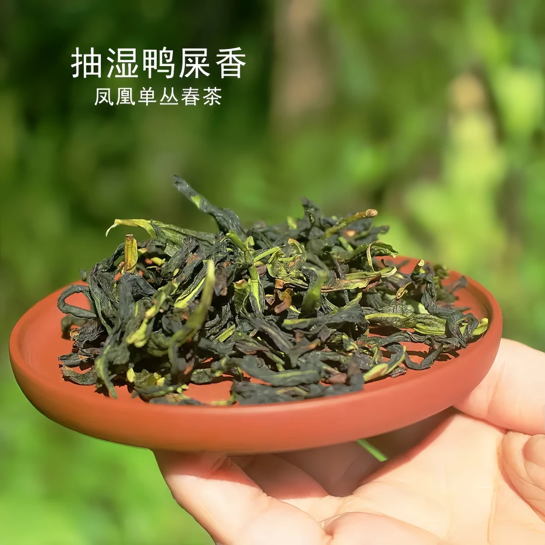 抽湿单枞茶鸭屎香生凤凰单丛茶清香雪片兰高花香单从茶叶绿衣仙子