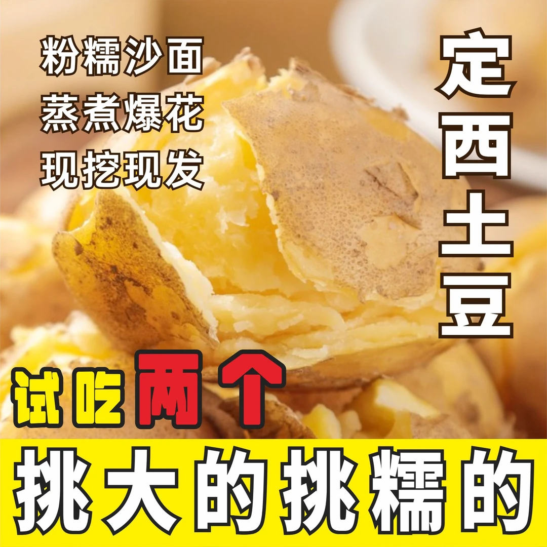【试吃两个 不升级发货】土豆定西土豆粉面糯沙黄心土豆洋芋马铃薯