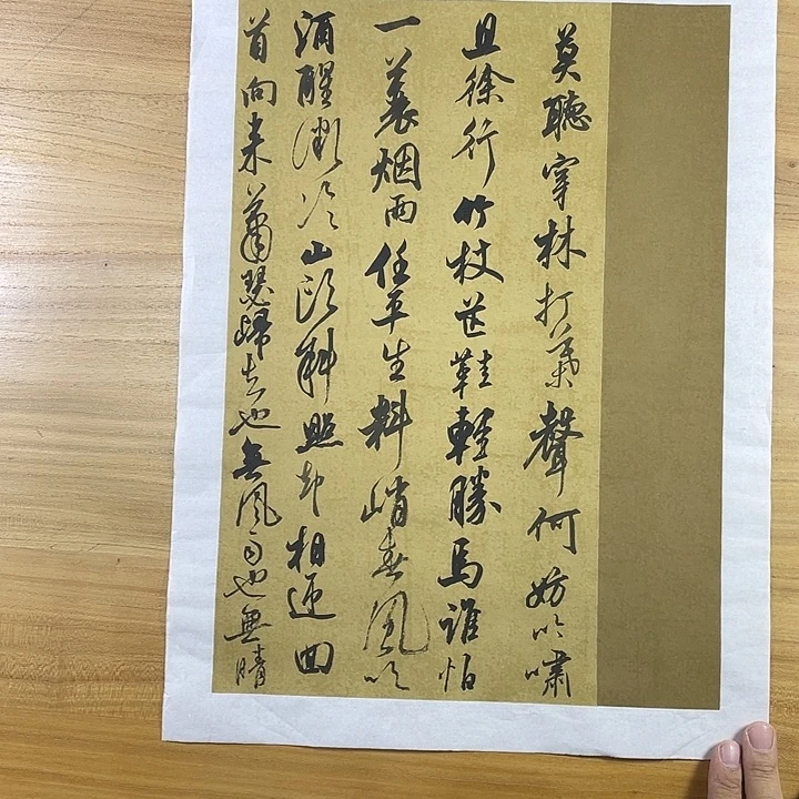 书法中书协会员作品