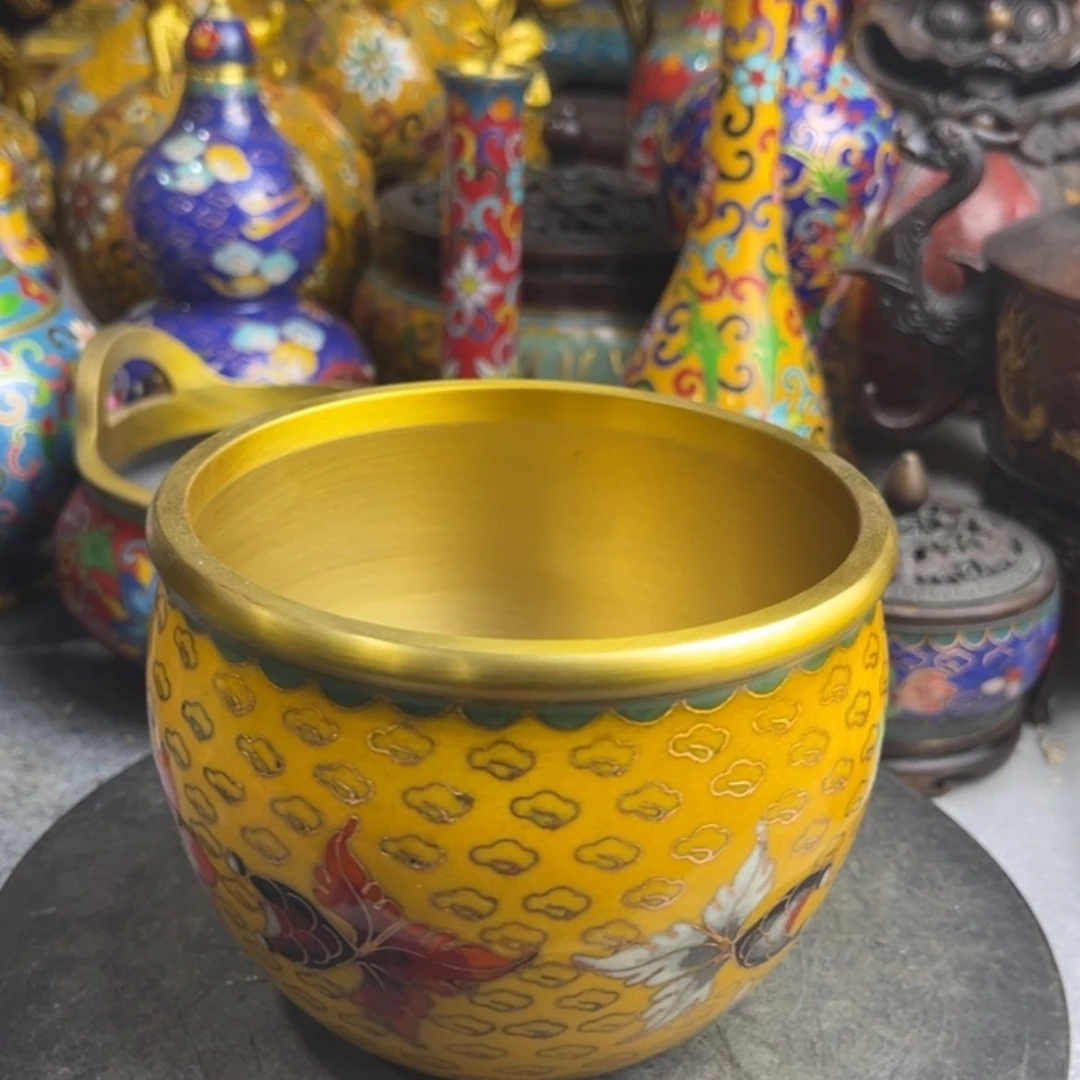 【闪购商品】蓝**姬1234567788999990