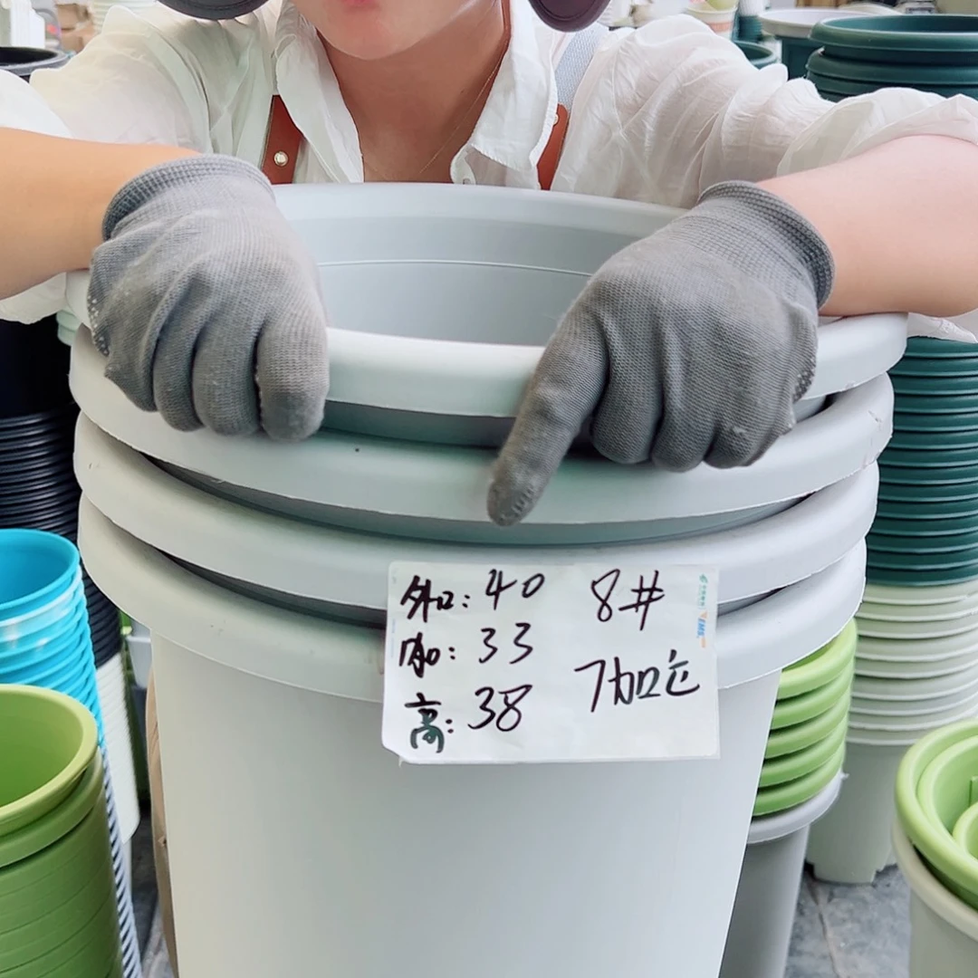 四季盆8#灰白色5个无托