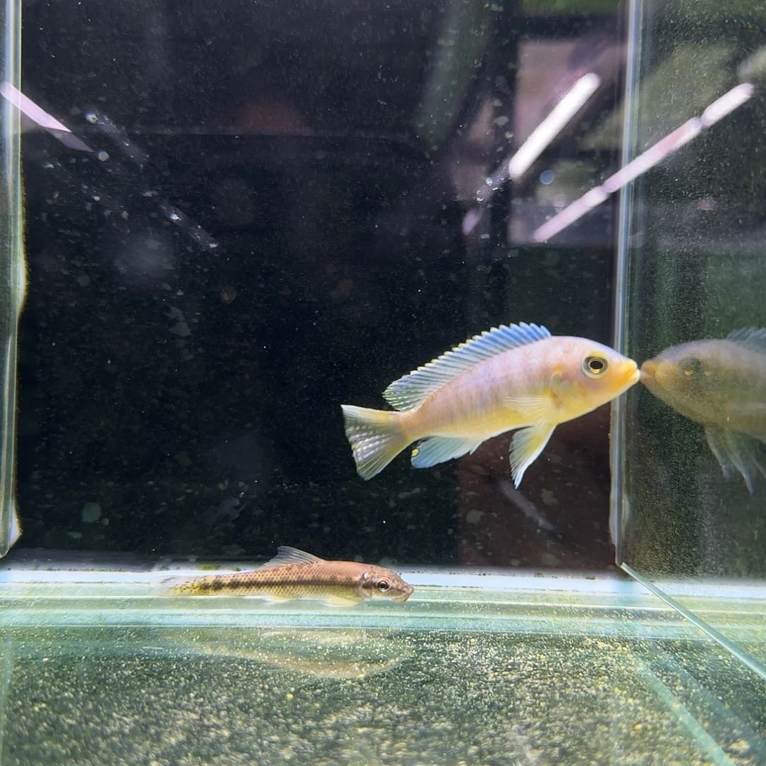 天***。1287^_^^_^^_^^_^^_^