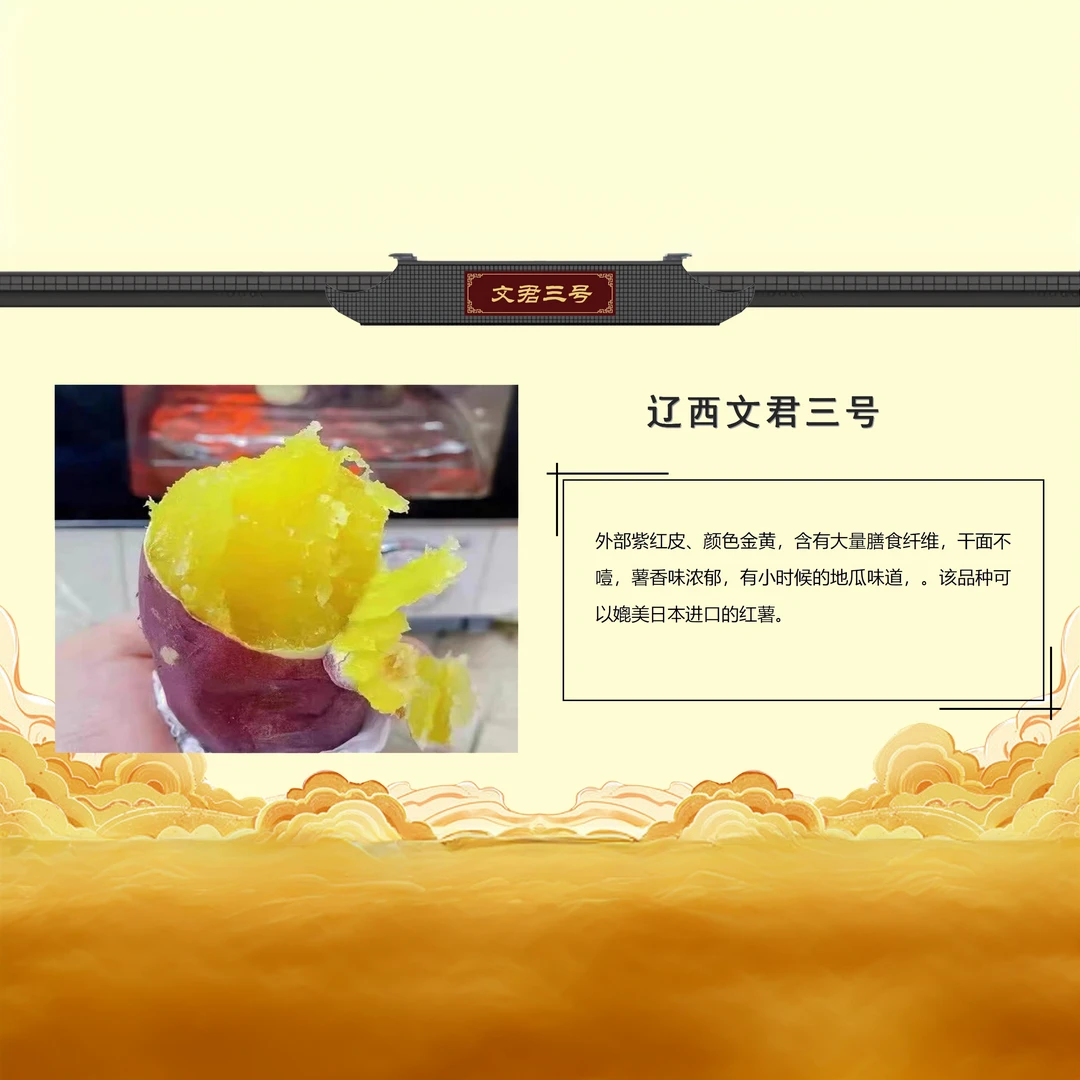 辽西文君葫芦岛市甘薯烤地瓜绿色食品厂家直邮辽西文君3号5斤