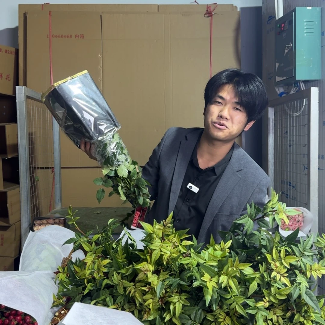 苹果捷克1扎畸形不售后