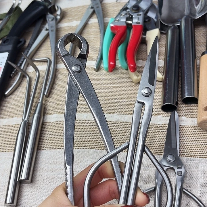 无标叶芽和球210各一把