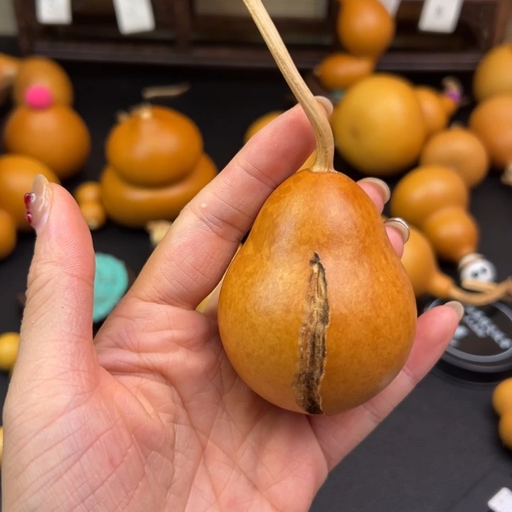 顺****彧葫芦葫芦葫芦葫芦
