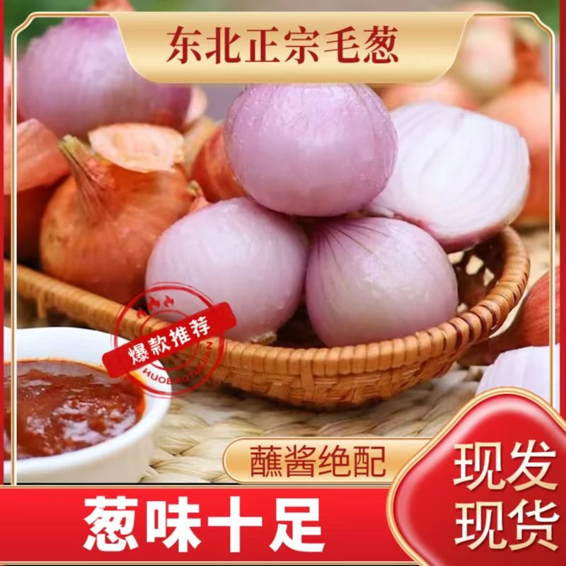 正宗东北毛葱生吃农家种植可炸葱油调味的笨毛葱头