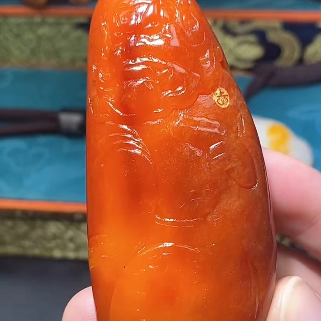 钟馗多样性拍一发一10.8号 A7