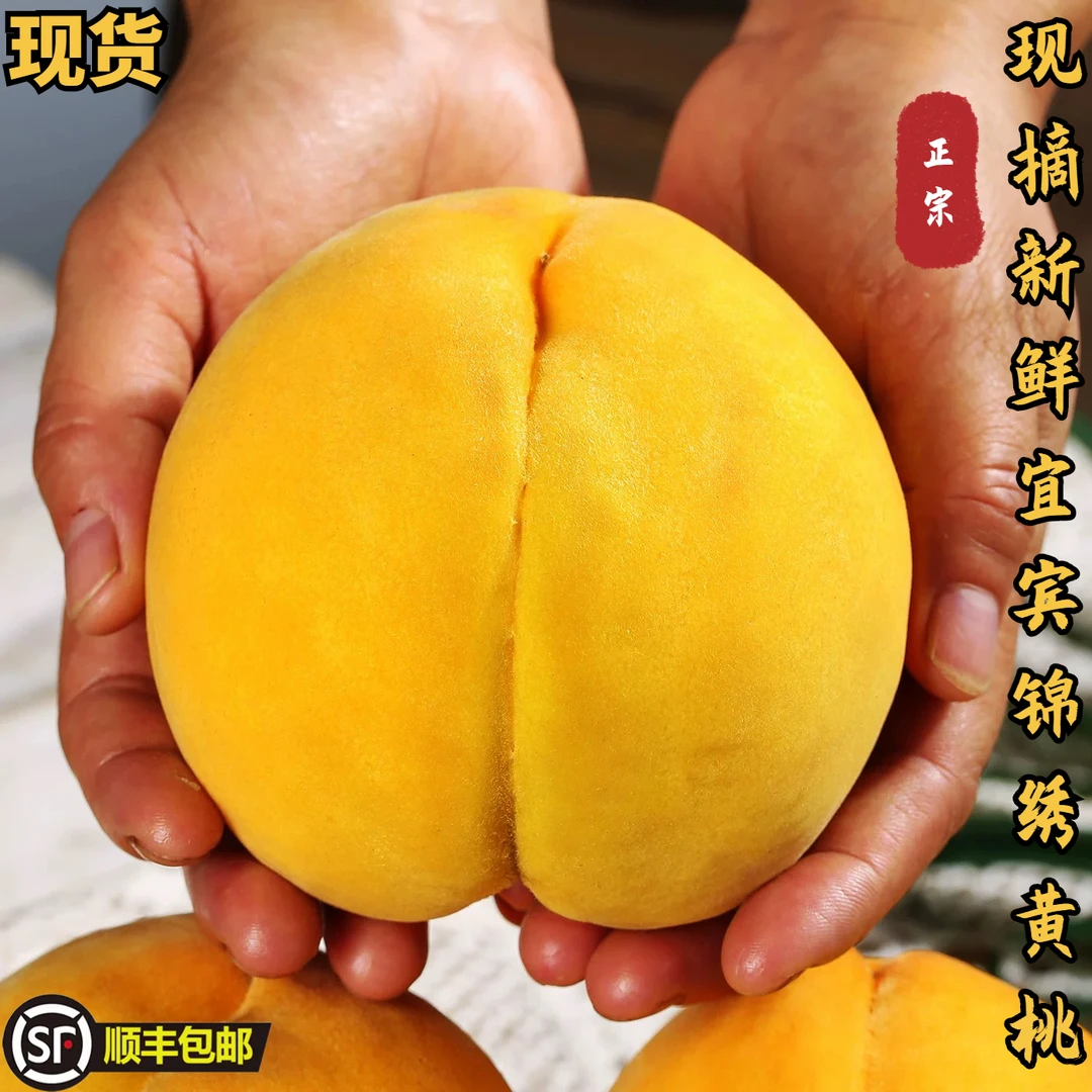 【顺丰包邮】5斤正宗四川宜宾锦绣黄桃新鲜水果桃脆甜多汁现摘现发