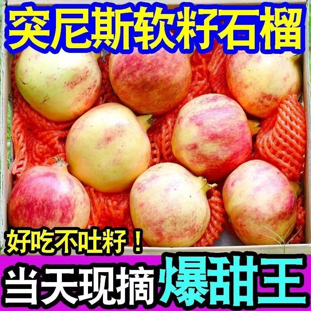 现货四川会理突尼斯软籽石榴新鲜应季水果整箱批发采摘直发甜石榴