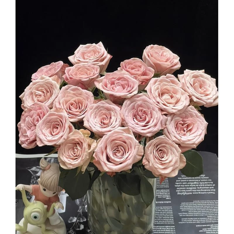 【卡布奇诺】鲜花同地址两单以上发顺丰或德邦空运+送10包保鲜剂