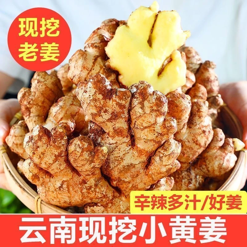 （玲子姐专属）云南小黄姜香味浓郁农家生姜蔬菜新鲜姜农家新鲜蔬菜