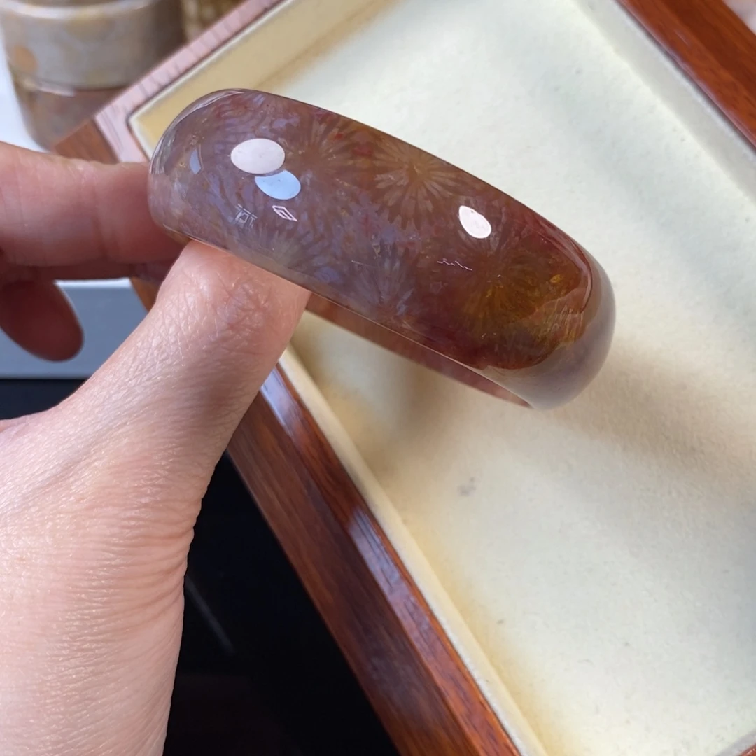 硅化珊瑚（珊瑚玉）未镶嵌手镯51.8口2700