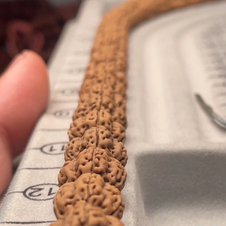 金刚菩提吊坠龙脊暗香天花板