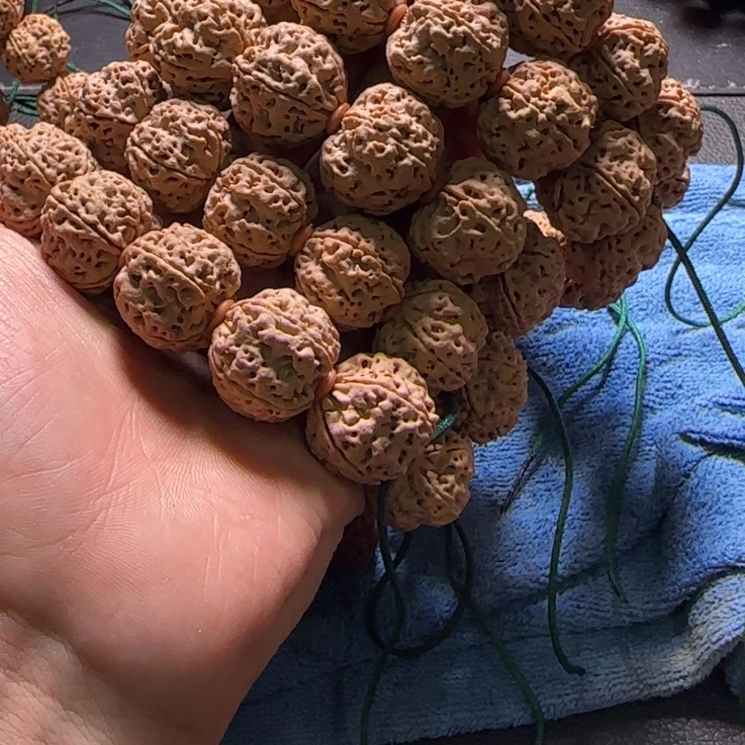 金刚菩提手串22尺寸巨肉蜂王