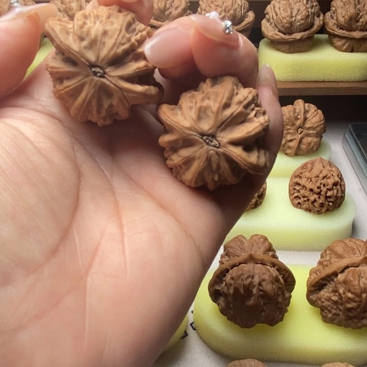 大叶紫檀（黑酸枝木类）战鼓不退不换