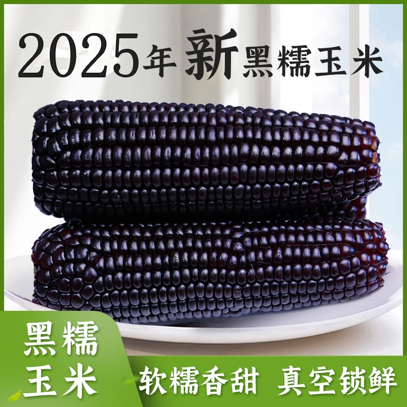 逅甜2025年头茬黑玉米甜糯 240克/根 8根早餐代餐软糯香甜真空装