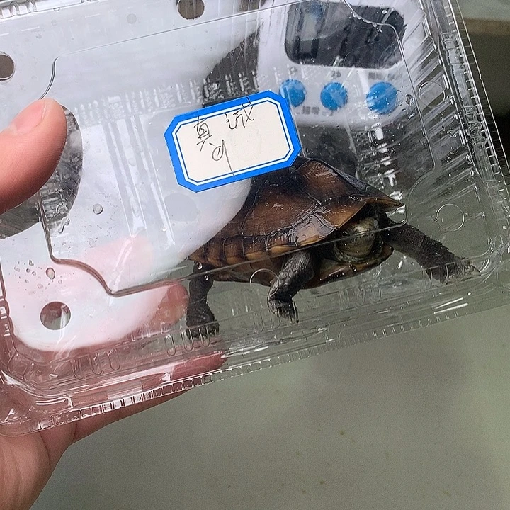 哈哈哈哈哈哈哈哈哈哈