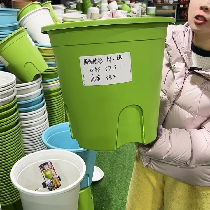 正品圆控口37.5高34.4果绿5只无托