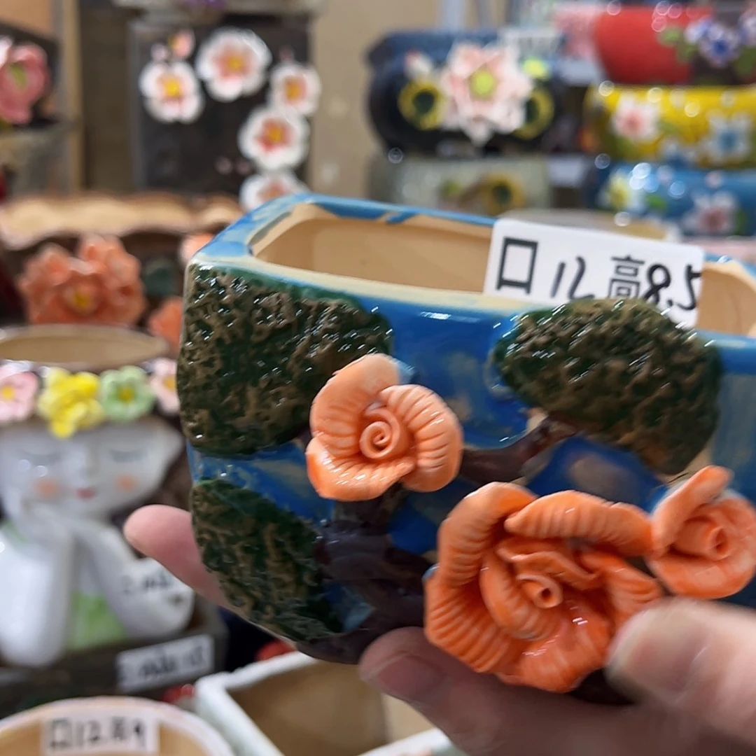 【闪购商品】红陶福利