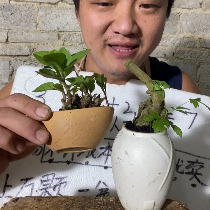 退款拉黑一物一拍210