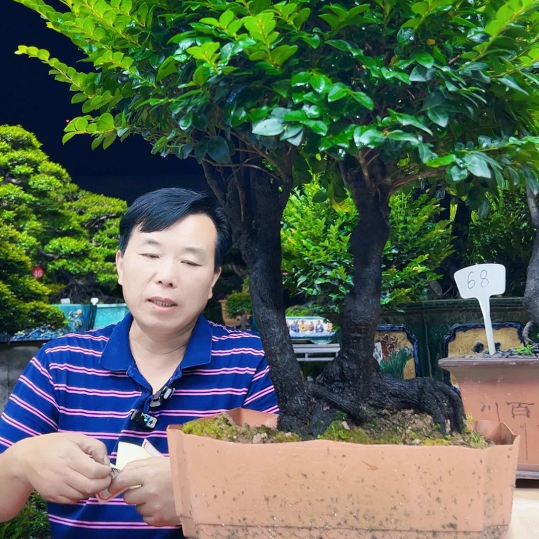 无花朵仁*秀明国艺秀明园艺