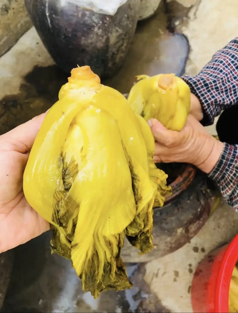 {正宗贵州老坛泡青菜酸爽开胃菜}