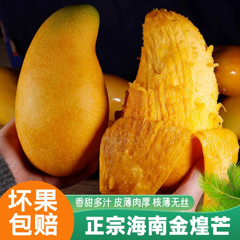 【放软变黄很甜】海南金煌芒果新鲜水果特大果当季水仙芒整箱包邮